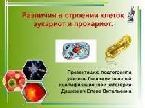 Презентация по биологииВиды клеток