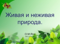 Презентация по окружающему миру