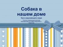 Презентация к уроку окружающего мира Собака в вашем доме(1 класс)