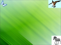 Презентация к уроку биологии 6 класс Обмен веществ и энергии