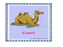 Презентация для начальной школы на тему Животные и птицы