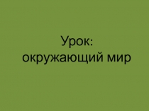 Презентация к уроку окружающий мир на тему:Сколько лет живут растения? Перспективная начальная школа. 2 класс