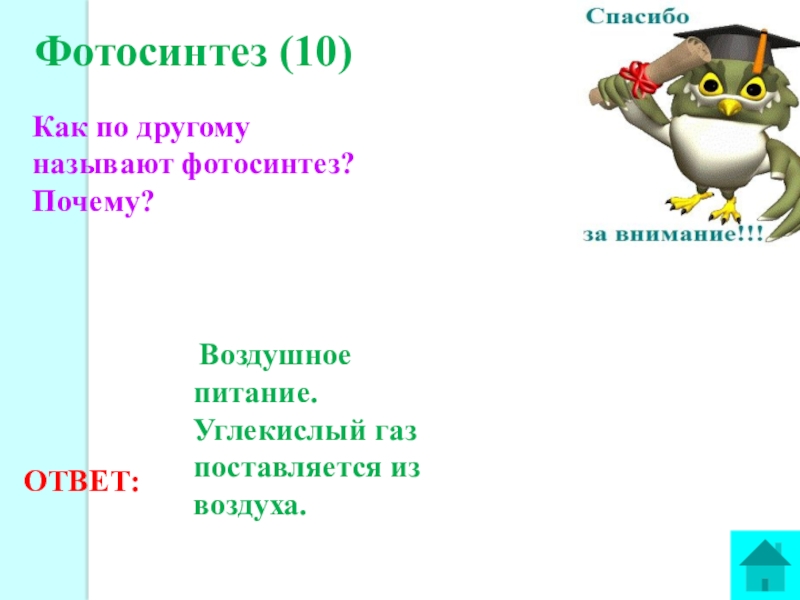 10 как по другому называется