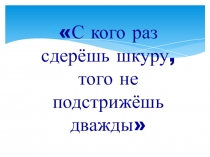 Презентация по всеобщей истории Средневековая деревня и её обитатели