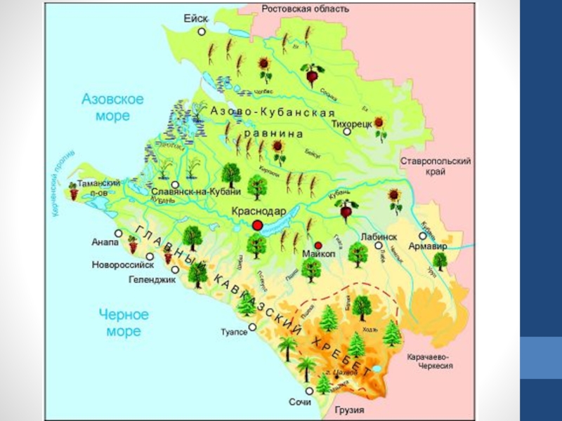 Кубановедение 4 класс презентация природные зоны краснодарского края