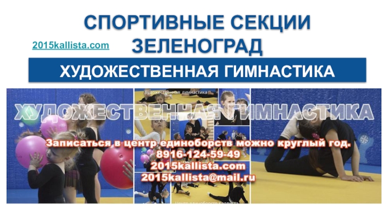 спортивные секции зеленоград