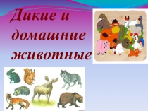 Презентация к уроку окружающего мира 1 класс