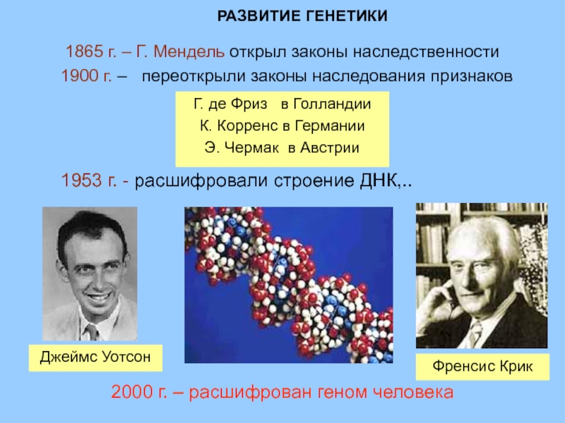 История генетики проект по биологии 9 класс