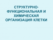 Презентация по биологии на тему Химический состав клетки (10 класс)