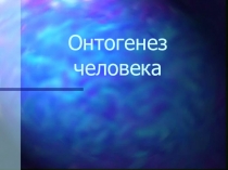 Презентация - Онтогенез человека