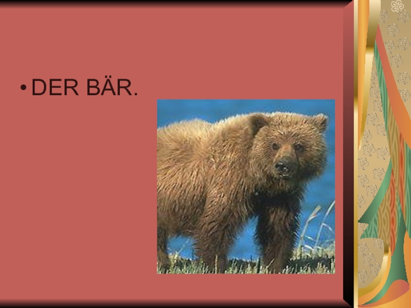 Der Bär стих. Der Bär перевод. Der Baer фирма. Baer.