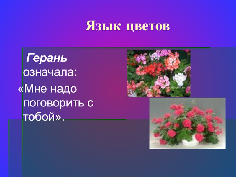 Проект язык цветов