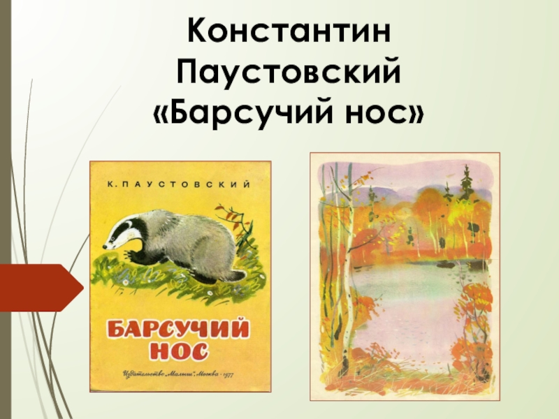 Паустовский барсучий нос читать полностью весь текст с картинками бесплатно