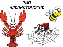 Презентация к уроку Обобщающий урок. Тип Членистоногие