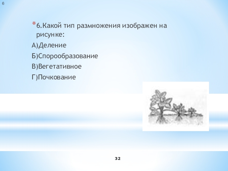 Какой тип размножения изображен на рисунке