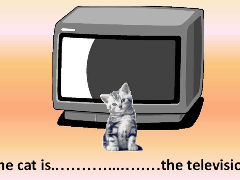 in front ofThe cat is..………....….…the television