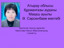 өрмекшітәрізділер