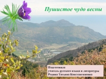 Презентация по русскому языку на тему Определение (5 класс)