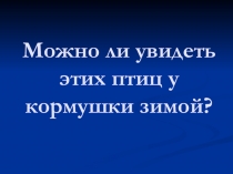 Презентация к уроку Можно ли увидеть этих птиц у кормушки зимой? (1 класс)
