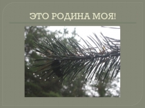 Презентация Это Родина моя