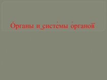 Презентация по биологии на тему Органы и системы органов ( 7 класс)