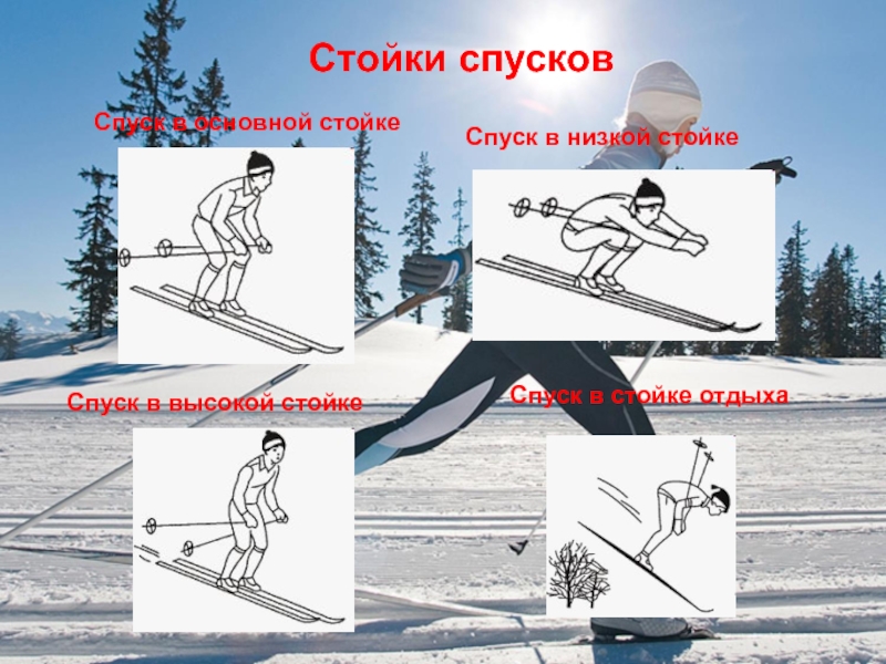 Стойка лыжника наиболее устойчива при спуске. Стойки при спусках на лыжах. Стойки лыжника при спуске. Спуск в высокой стойке. Спуск в высокой стойке на лыжах техника.