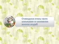 Презентация Развиваем внимание. Занятие 3