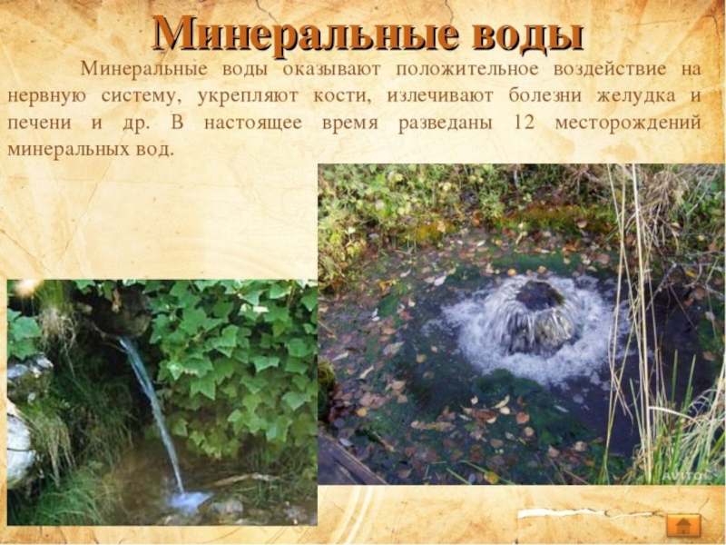 Презентация минеральная вода