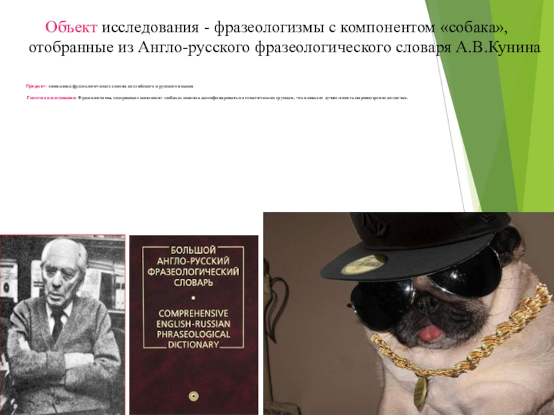 Реферат: О переводе английских фразеологизмов в англо-русском фразеологическом словаре