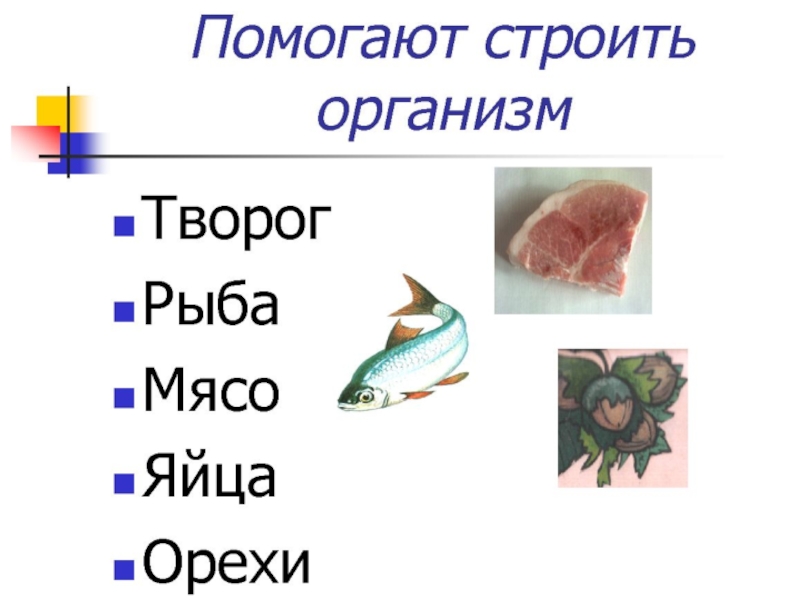 Не рыба не мясо. Какими веществами богаты творог рыба мясо. Какими веществами богаты творог рыба яйца. Какие вещества в рыбе, мясе, яйцах. Мясо, рыба ,яйца богаты какими веществами.