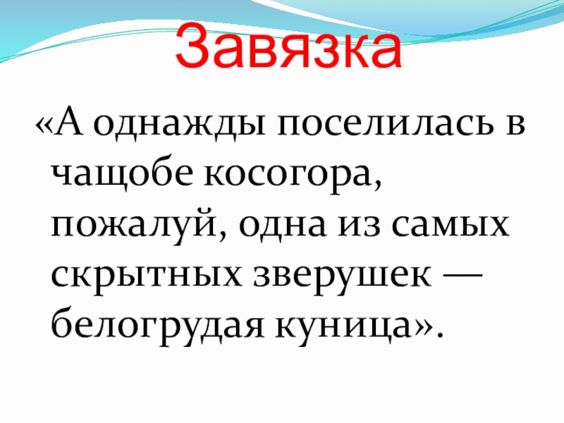 Завязка«А однажды поселилась в чащобе косогора, пожалуй, одна из самых скрытных зверушек — белогрудая куница».