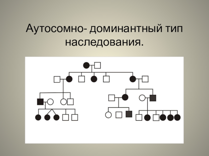 Аутосомно доминантный тип наследования схема - 86 фото