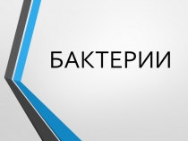 Презентация по биологии на тему Бактерии