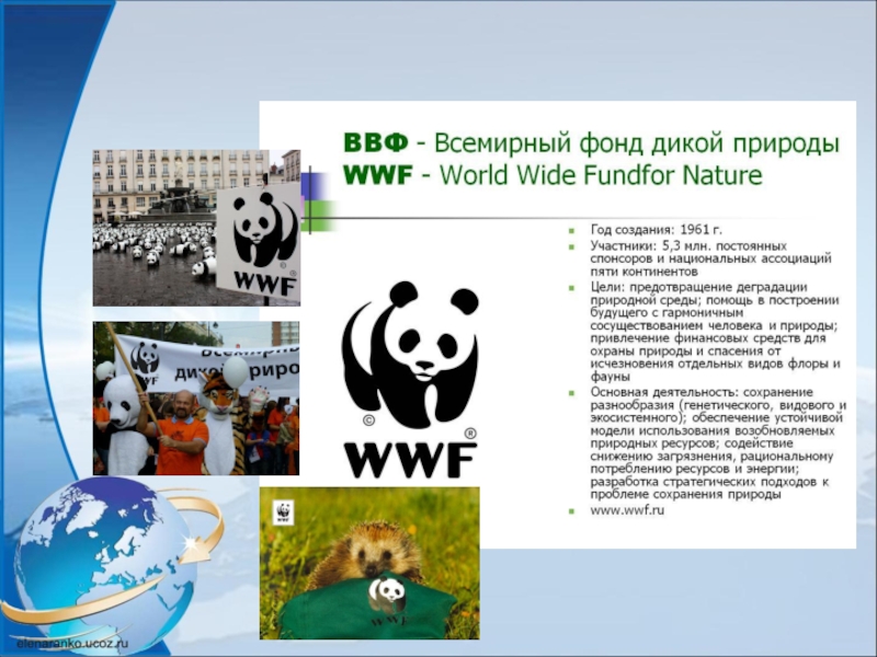 Презентация на тему wwf