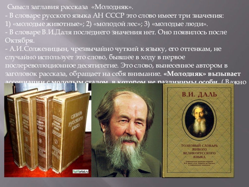 Русский словарь языкового расширения солженицына проект