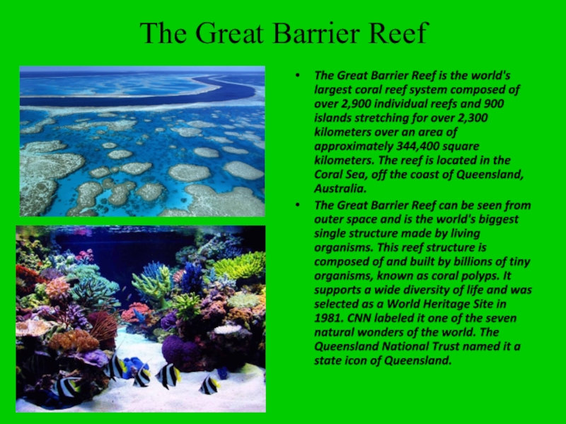 Реферат: Why Coral Reefs Need To Be Protected