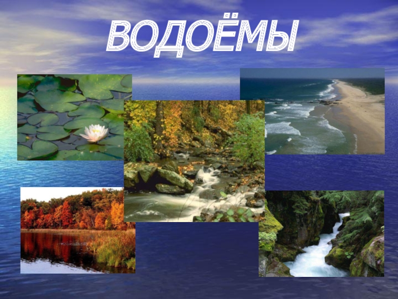 Водоемы их разнообразие океан море озеро пруд река как водный поток 4 класс презентация