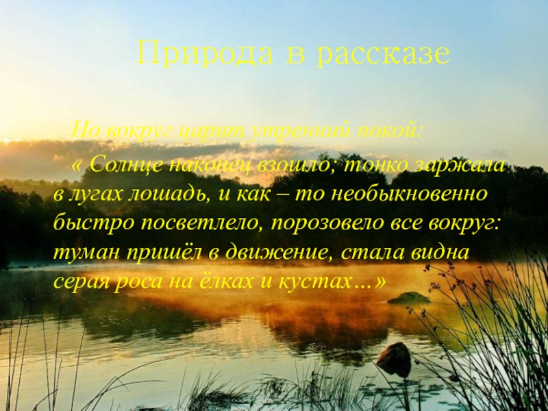 Природа в рассказеНо вокруг царит утренний покой: « Солнце наконец взошло; тонко заржала в лугах лошадь, и