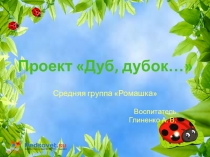 Презентация проекта Дуб, дубок...