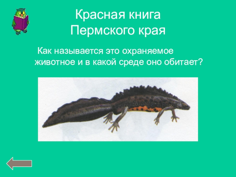 Красная книга животных Пермского края