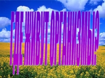 Презентация по биологии на тему Среда обитания организмов