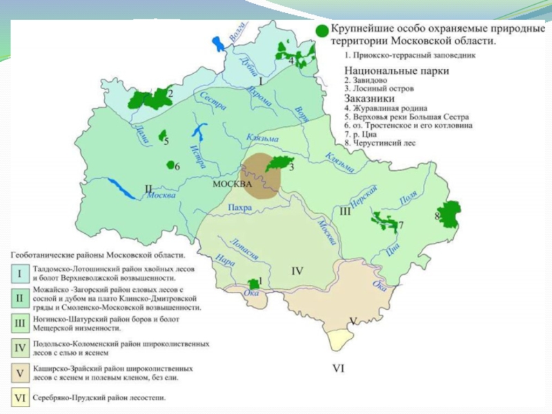 Реферат: Экология Москвы и Московской области