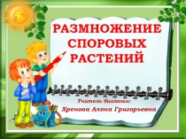 Презентация по биологии на тему Размножение споровых растений (6 класс)