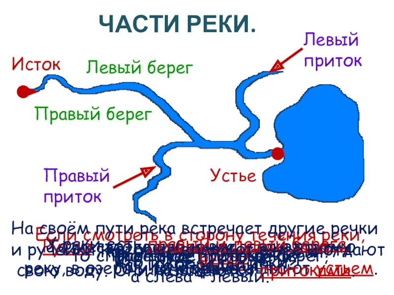 Части реки окружающий мир 1 класс