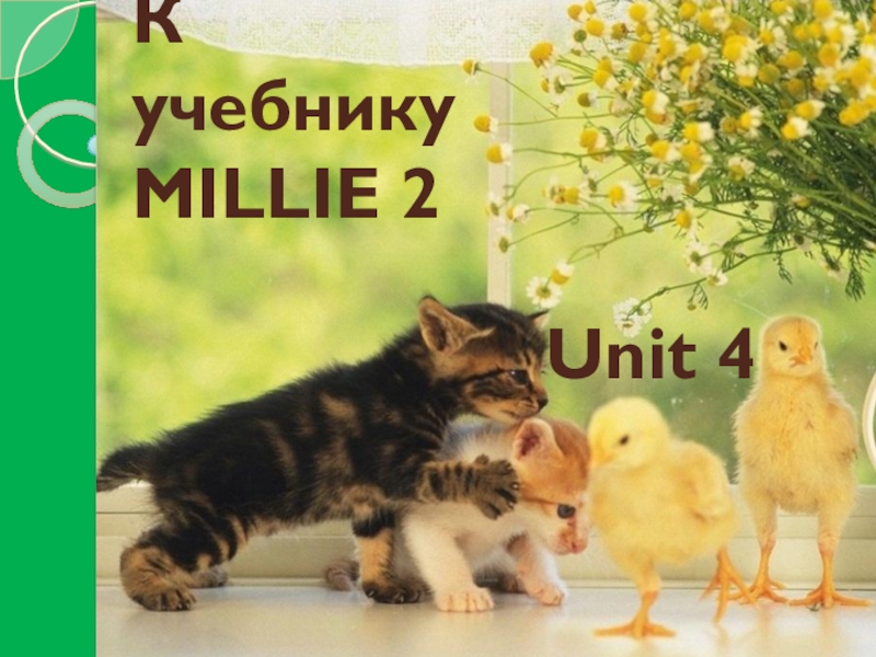 К учебнику  MILLIE 2Unit 4