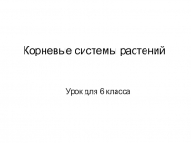 Урок - лабораторная по теме Виды корневых систем растений