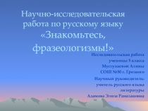 Презентация исследовательской работы по русскому языку Знакомьтесь, фразеологизмы