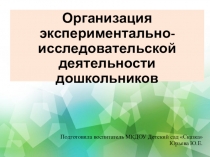 ОРГАНИЗАЦИЯ ЭКСПЕРИМЕНТАЛЬНО-ИССЛЕДОВАТЕЛЬСКОЙ ДЕЯТЕЛЬНОСТИ ДОШКОЛЬНИКОВ