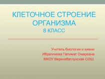 Клеточное строение организмов.( 8 класс)