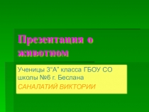 Презентация по окружающему миру на тему Муравьед (2 класс)